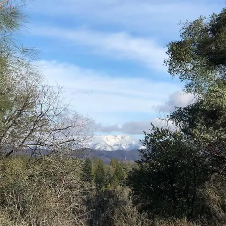 Bear Paw Cabin New Construction Near Yosemite Mariposa Extérieur photo