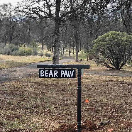 Bear Paw Cabin New Construction Near Yosemite Mariposa Extérieur photo