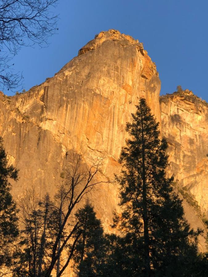 Bear Paw New Construction Near Yosemite